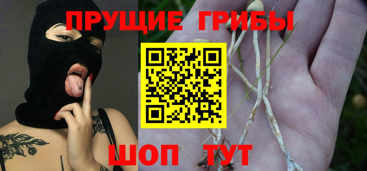 Жуковский  Псилоцибиновые грибы Magic Shrooms  Псилоцибиновые грибы Psilocybe  купить  сайты  Вход с VPN 