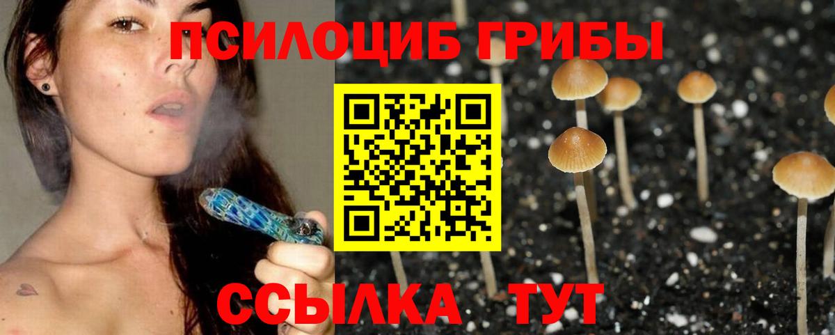 Псилоцибиновые грибы GOLDEN TEACHER Жуковский